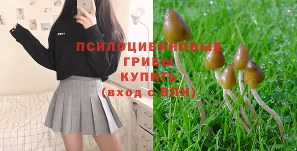 а пвп мука Богданович