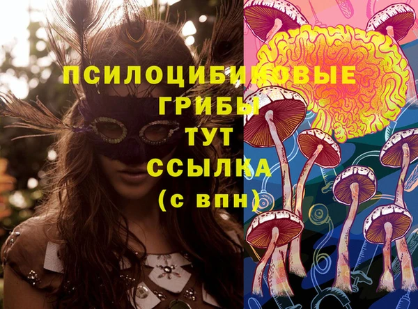 mix Богородицк