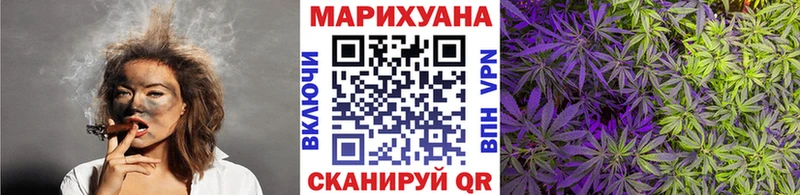 Канабис семена Славгород